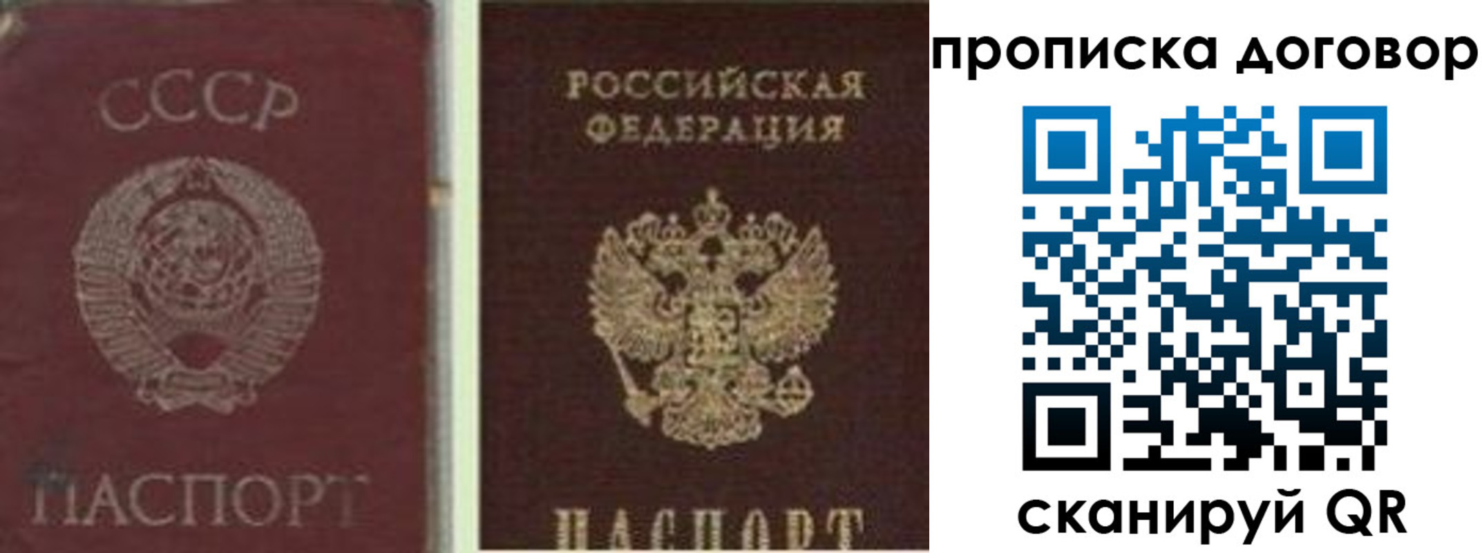 прописка гарантия в Чебоксарах